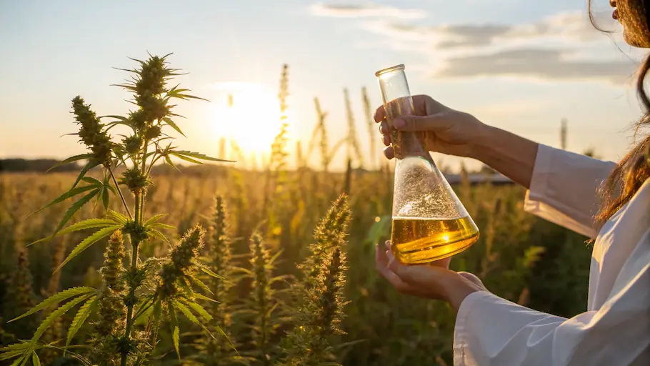 Che cos'è il CBD?